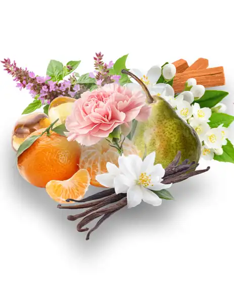 Peony & Vanilla Orchid CF - Clean Fragrances